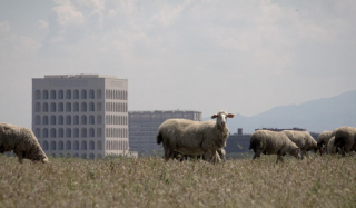 video still La friche, la galaxie, Michel Couturier 2022. Video 4K 9'50. © Michel Couturier video still La friche, la galaxie, Michel Couturier 2022. Video 4K 9'50. © Michel Couturier